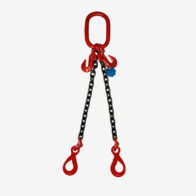 2 Legs Lifting Chain Sling - Eye Selflock Hook - G80