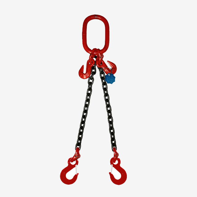 2 Legs Lifting Chain Sling - Eye Sling Hook - G80